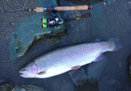 大物大漁となるはずが… ～天竜川ルアーフラ…